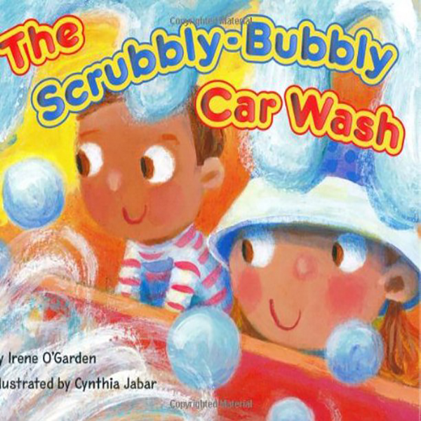 Scrubbly Bubbly Car Wash