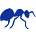 Ant