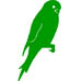 Parakeet